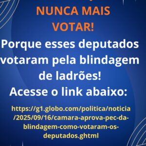 Saiba em quem nunca mais votar porque votou pela blindagem de ladrões do dinheiro público!